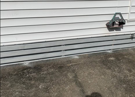 Homosassa Rat Removal