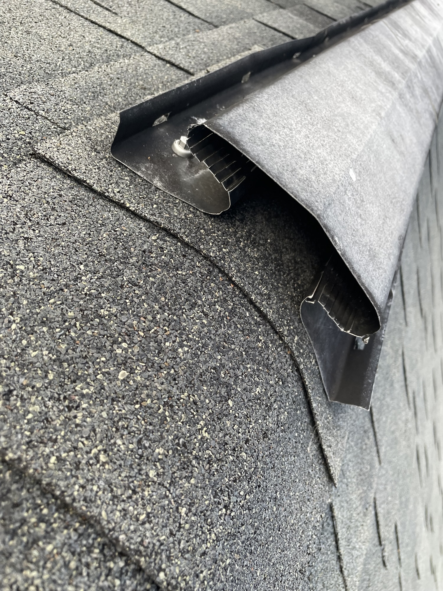 Rodent entry point at ridge vent on a Hillsborough County Florida home