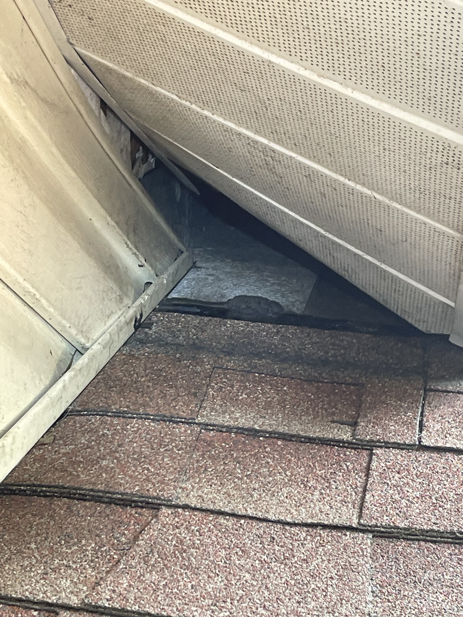 Raccoon damage to roof soffit on a Hillsborough County Florida home