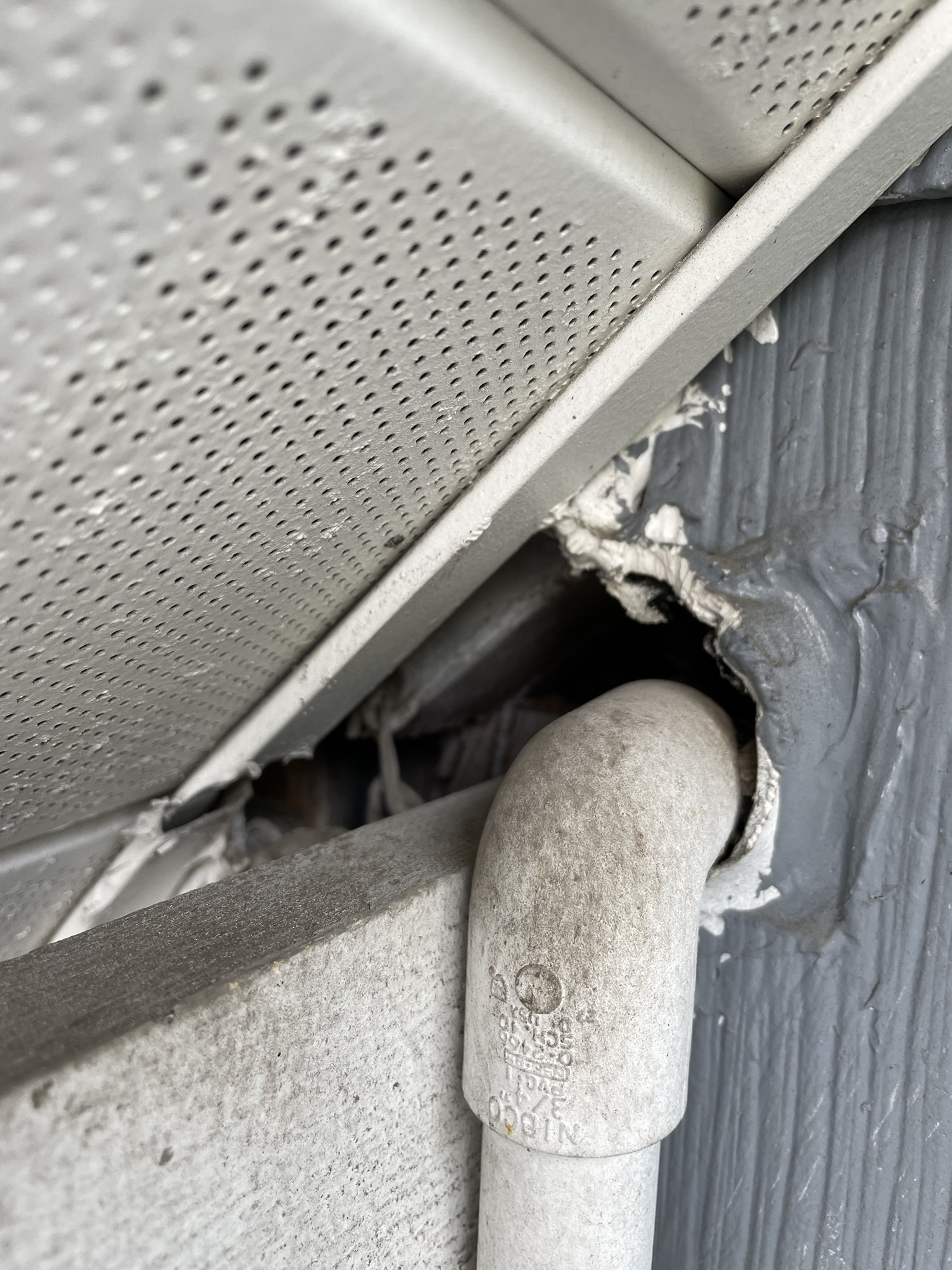 a pipe leading into soffit area where rats can gain access to attic on pasco county home