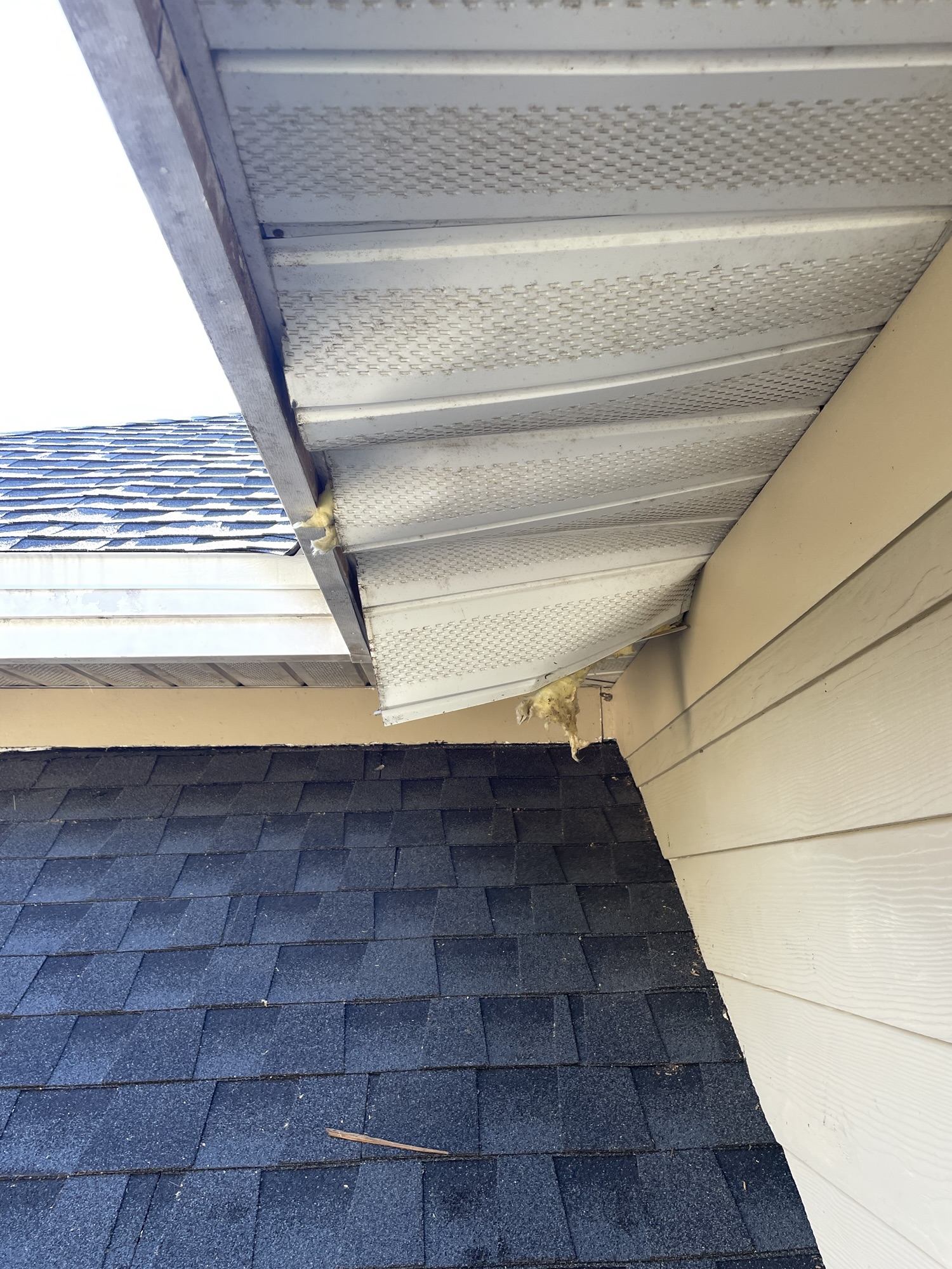 wildlife activity inside a soffit vent on a Pinellas County Florida property
