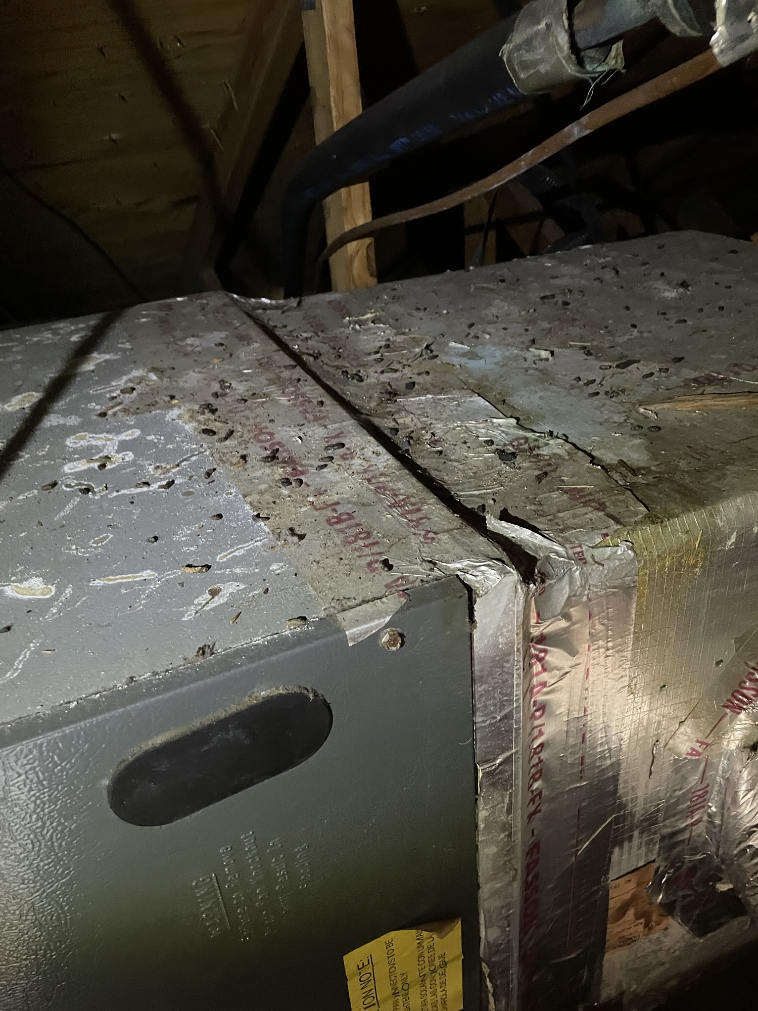 rat poop and pee found on ac and duct work in citrus county attic