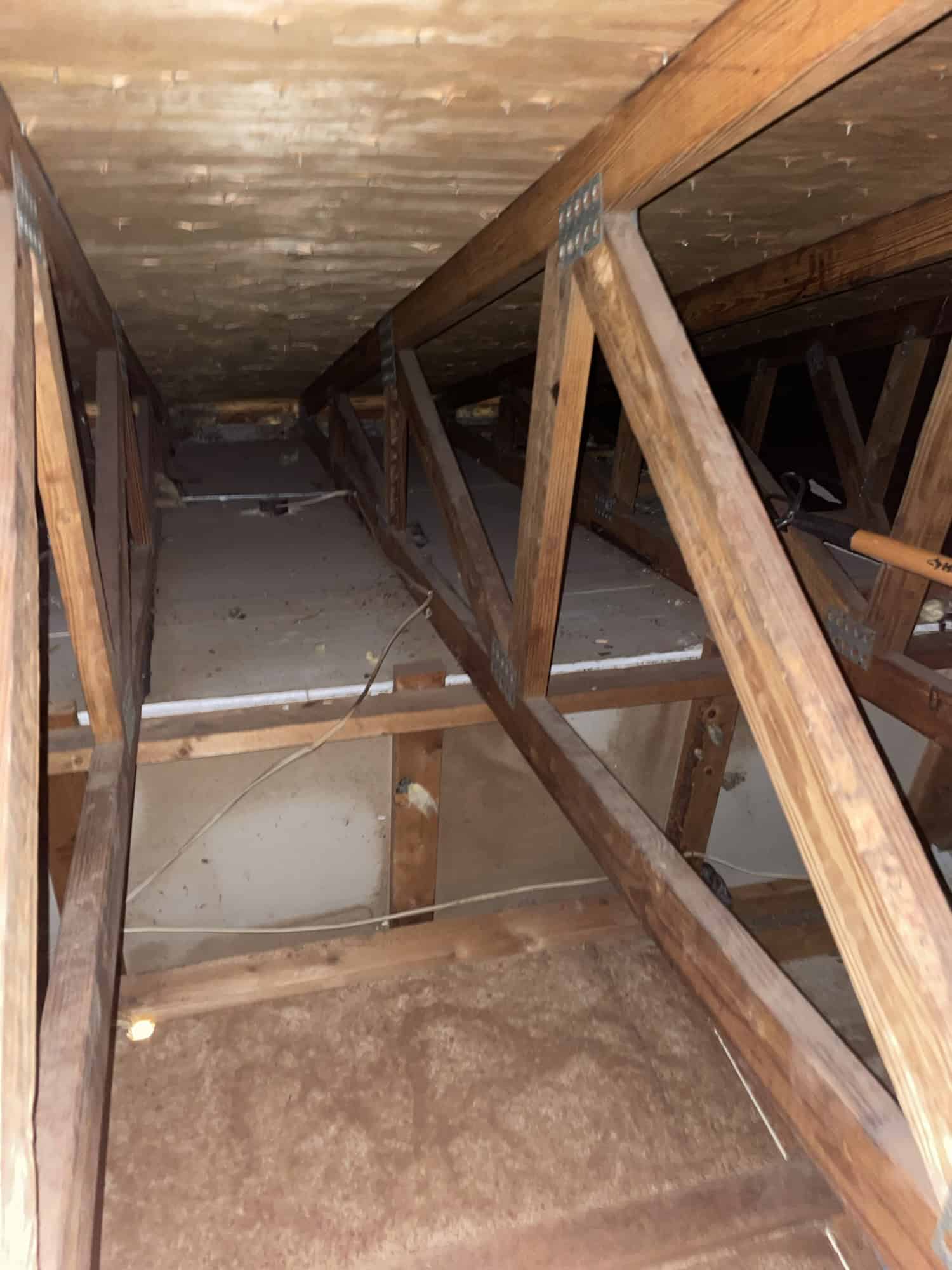 Attic restoration in Hillsborough County Florida removing insulation contaminated by rat droppings and urine