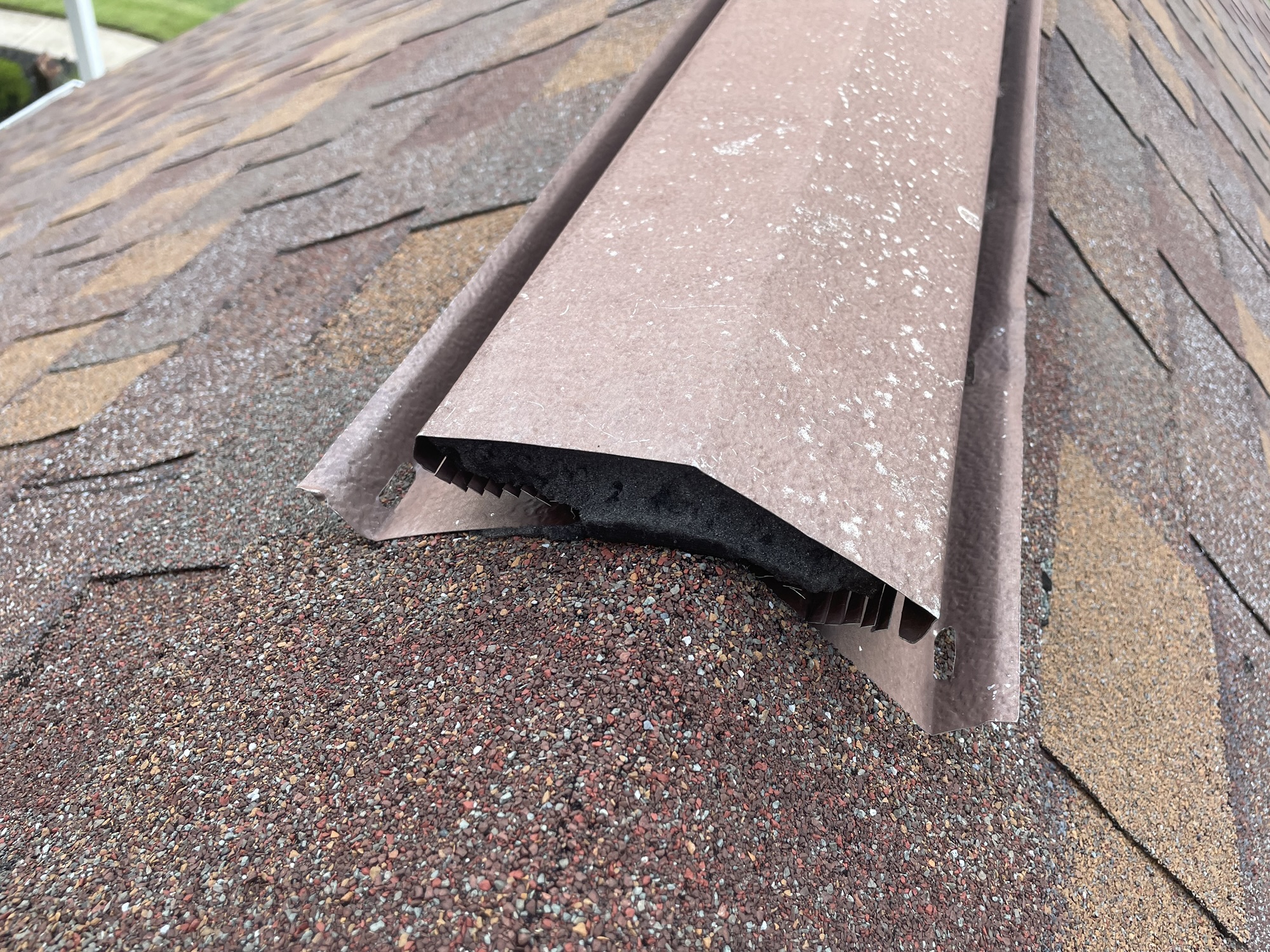 open ridge vent found on roof of citrus county home allowing rats to enter attic