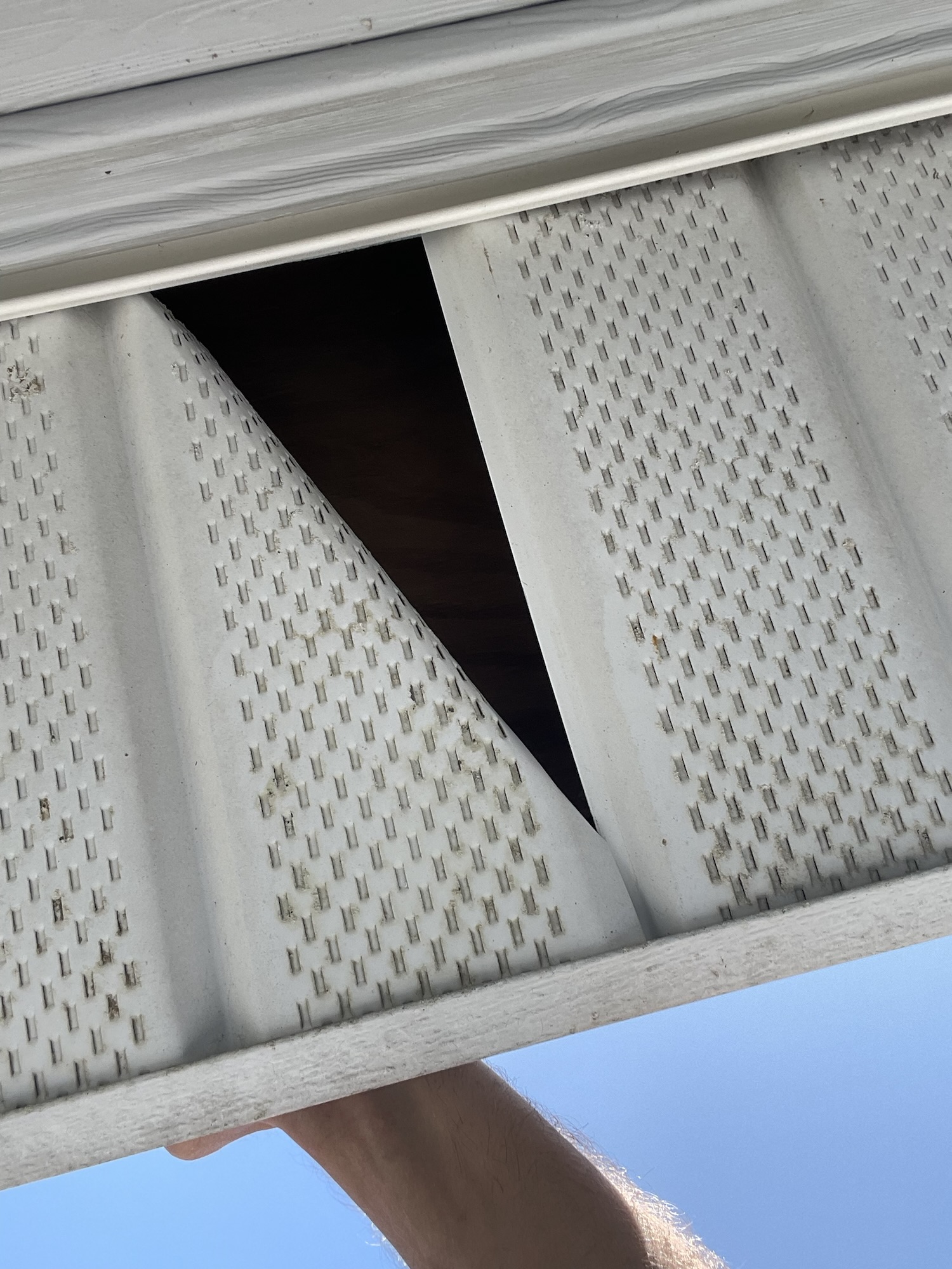Wildlife entry point in roof soffit on a Hillsborough County Florida home