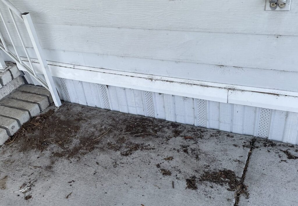 Mobile home in Dunedin protected with hardware cloth barrier fastened into concrete foundation—preventing wildlife access beneath and into soffits or attics.