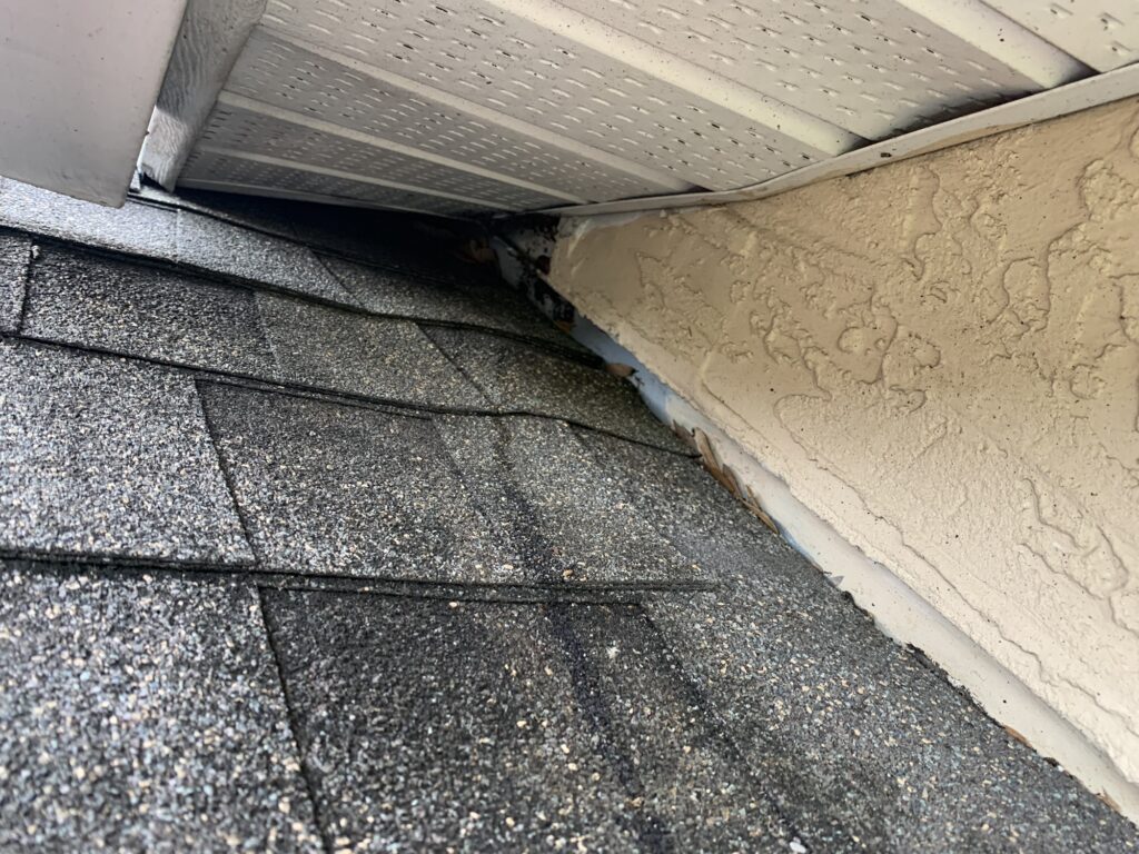 Wildlife damage to soffit on a Hillsborough County Florida home