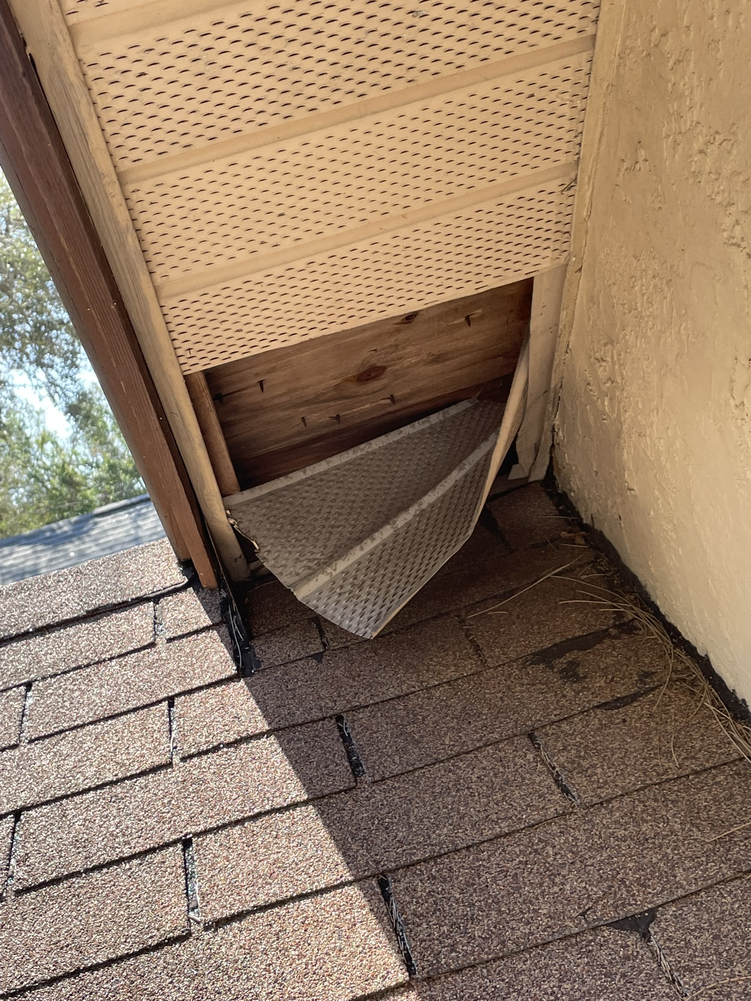 Raccoon damage around soffit on a Pinellas County Florida home